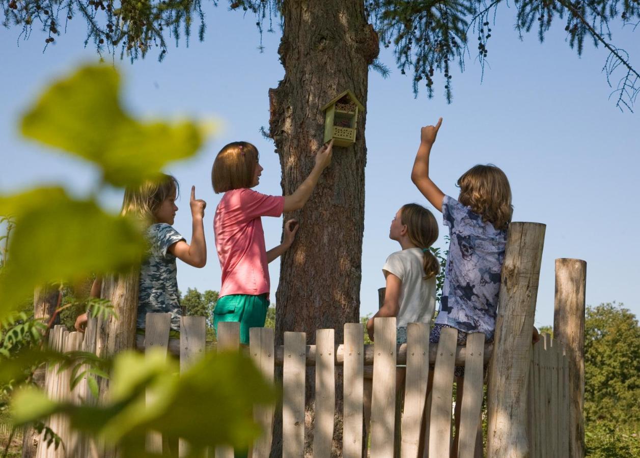 Camping Het Wieskamp Henxel Exterior foto